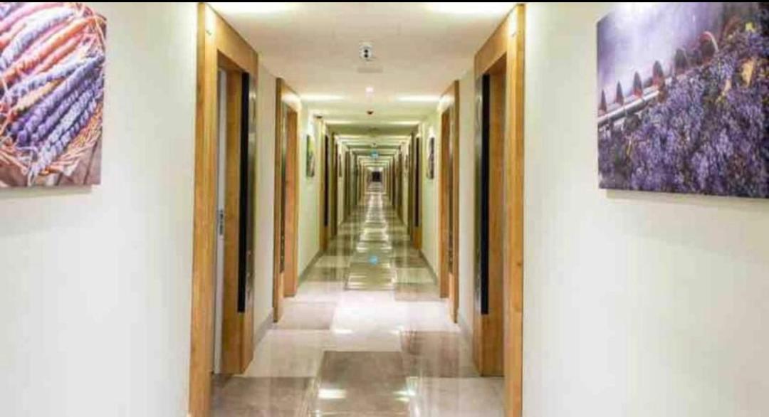 Lamar Hotel Batumi Bilik gambar